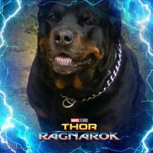 Meet your Posher, Pamela